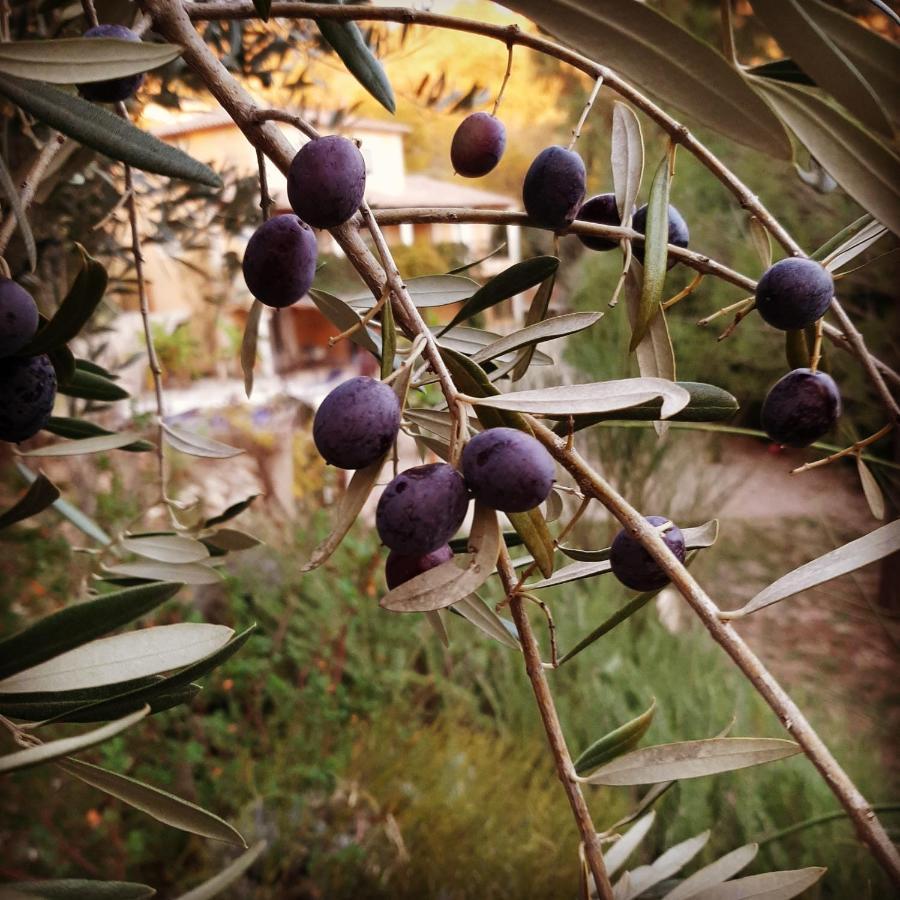 La Villa Jasmin Montauroux Luaran gambar