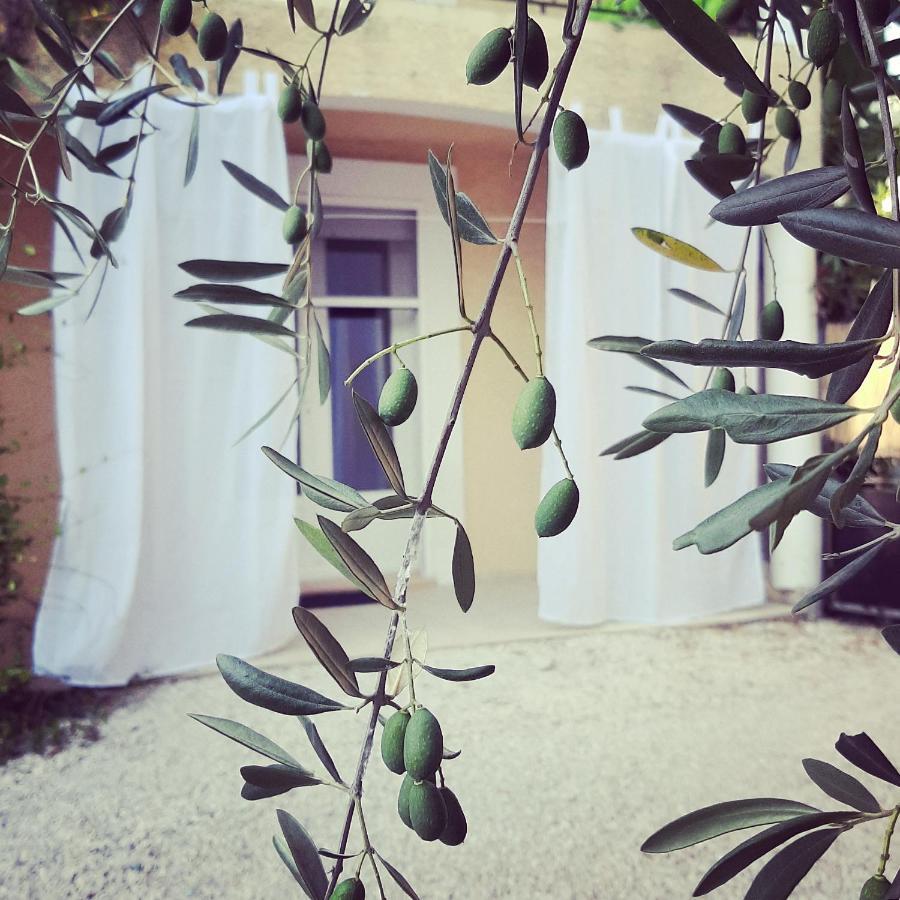 La Villa Jasmin Montauroux Luaran gambar