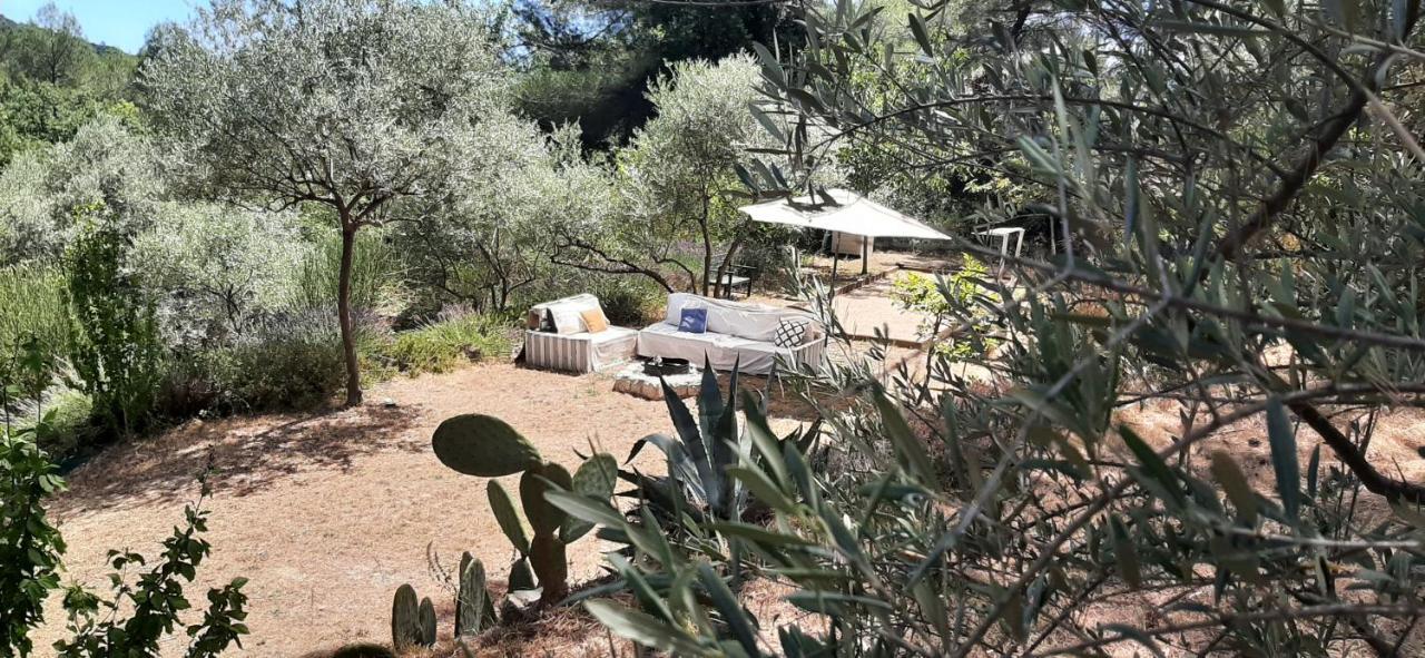 La Villa Jasmin Montauroux Luaran gambar