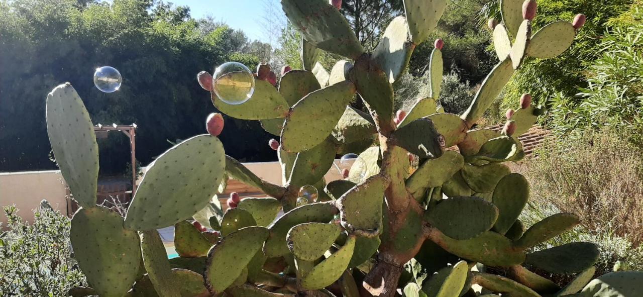 La Villa Jasmin Montauroux Luaran gambar