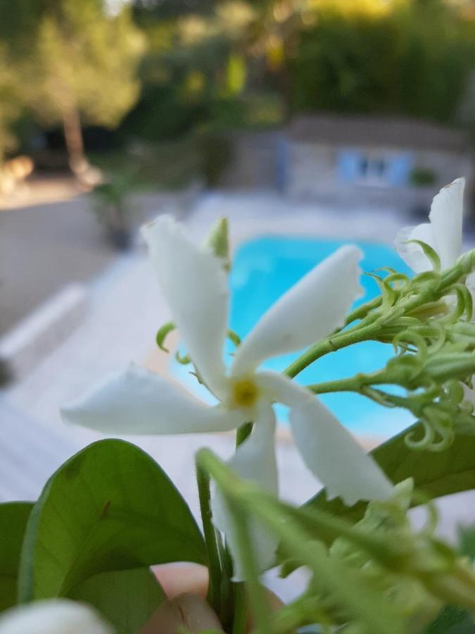 La Villa Jasmin Montauroux Luaran gambar